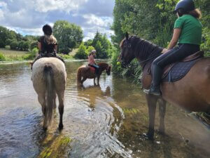 poney club des retrouvailles