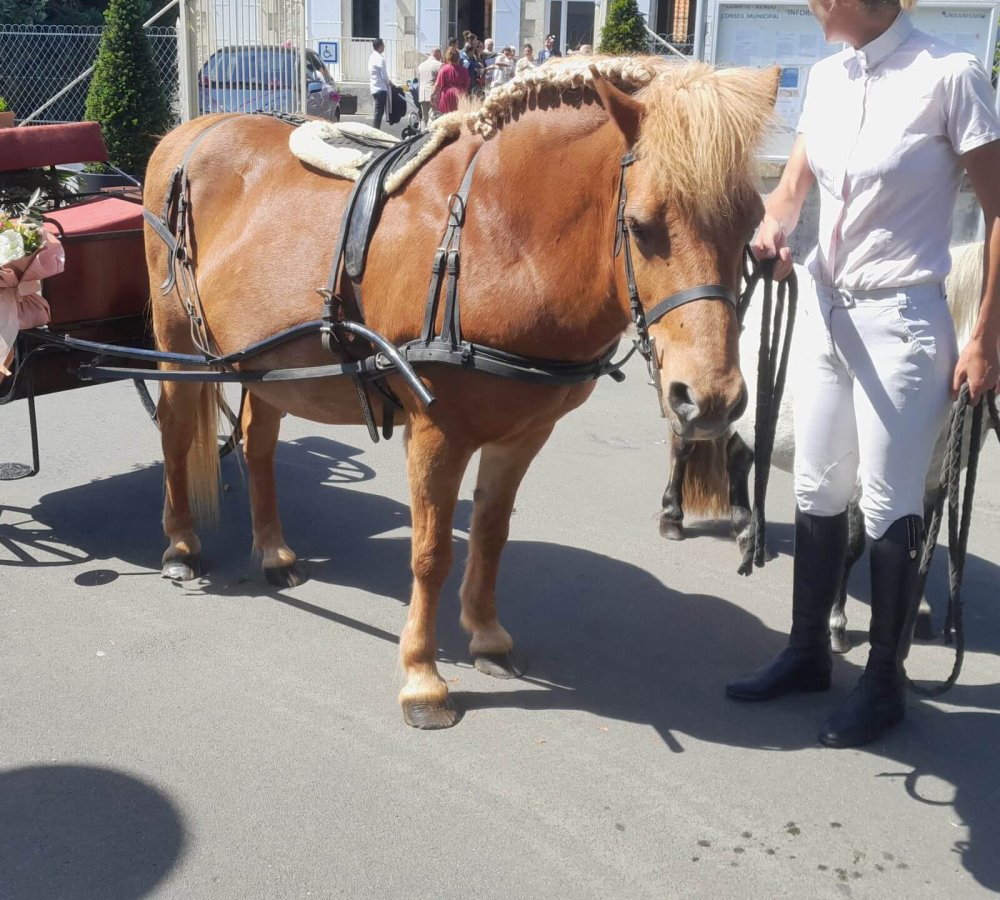 poney club des retrouvailles