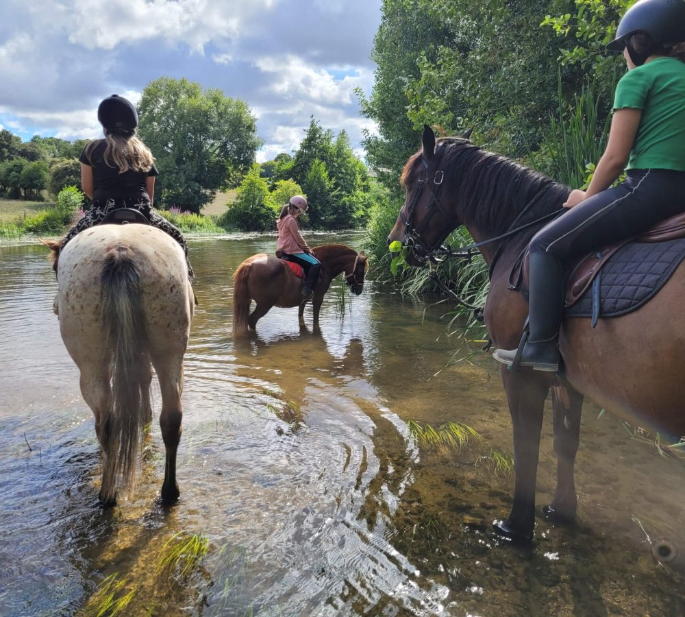 poney club des retrouvailles